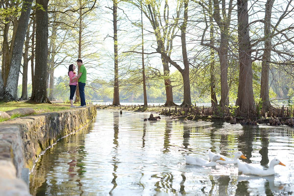 Engagenent pictures with ducks on a pond